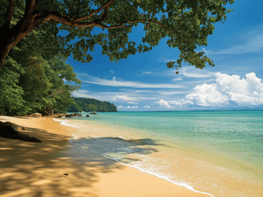 A serene tropical beach scene unfolds with golden sand, turquoise water, and a clear blue sky. Lush green trees offer shade in the foreground, while fluffy white clouds dot the horizon—truly the best time to embrace nature’s beauty.