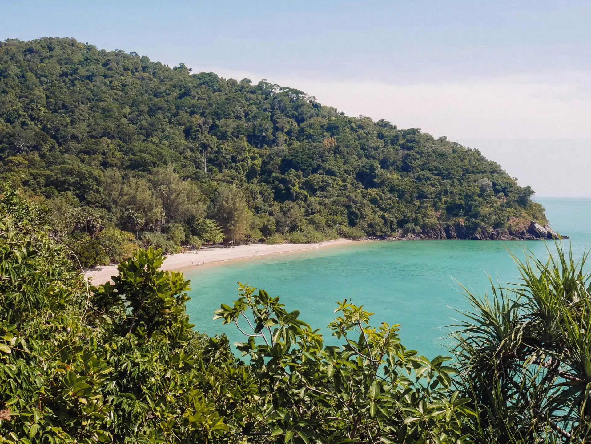 A scenic view of a lush, green hillside on a serene island leads to a sandy beach beside turquoise waters. The hill is covered with dense tropical vegetation under a clear blue sky.